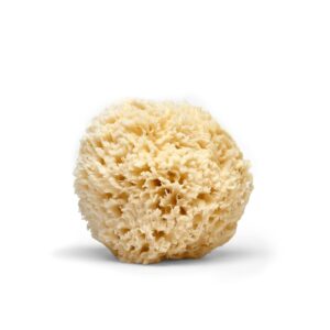 Read more about the article LATHER Natural Sea Wool Sponge 4-6” – Gentle Exfoliating Loofah for Invigorating Spa Experience – Natural Bath Sponge Varies in Size & Shape – Organic Loofah