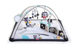 Read more about the article Tiny Love Black & White Gymini Infant Activity Play Mat With-Book, Magical Tales, Deluxe